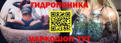 Альфа ПВП Кинель
