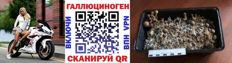 Галлюциногенные грибы Psilocybine cubensis мега ONION Серпухов