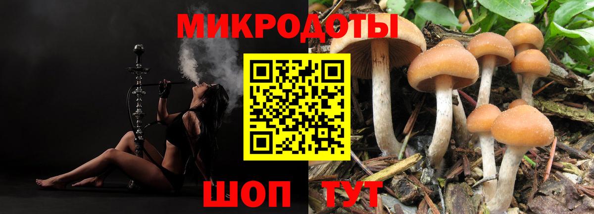 Серпухов  Галлюциногенные грибы Cubensis  Галлюциногенные грибы прущие грибы  Вход с VPN 