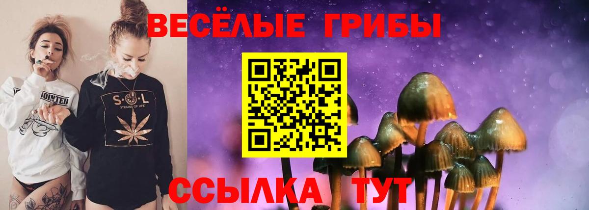 Псилоцибиновые грибы Psilocybine cubensis Серпухов